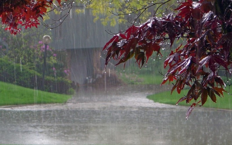 В некоторых регионах Азербайджана шел дождь, была гроза - ФАКТИЧЕСКАЯ ПОГОДА